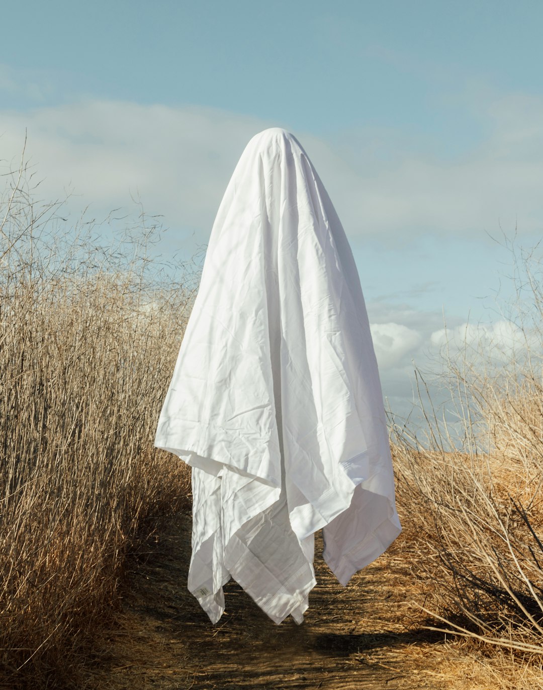 Ghosts in the Nursery: how trauma haunts parent-child relationships